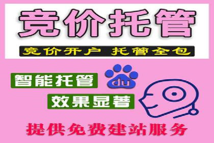 网络推广竞价实战案例分析集